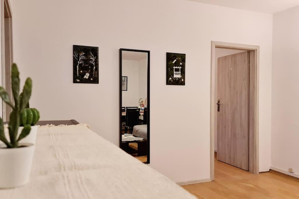 Przestronny Pokoj W Mieszkaniu Na Filipa Krakov Exteriér fotografie